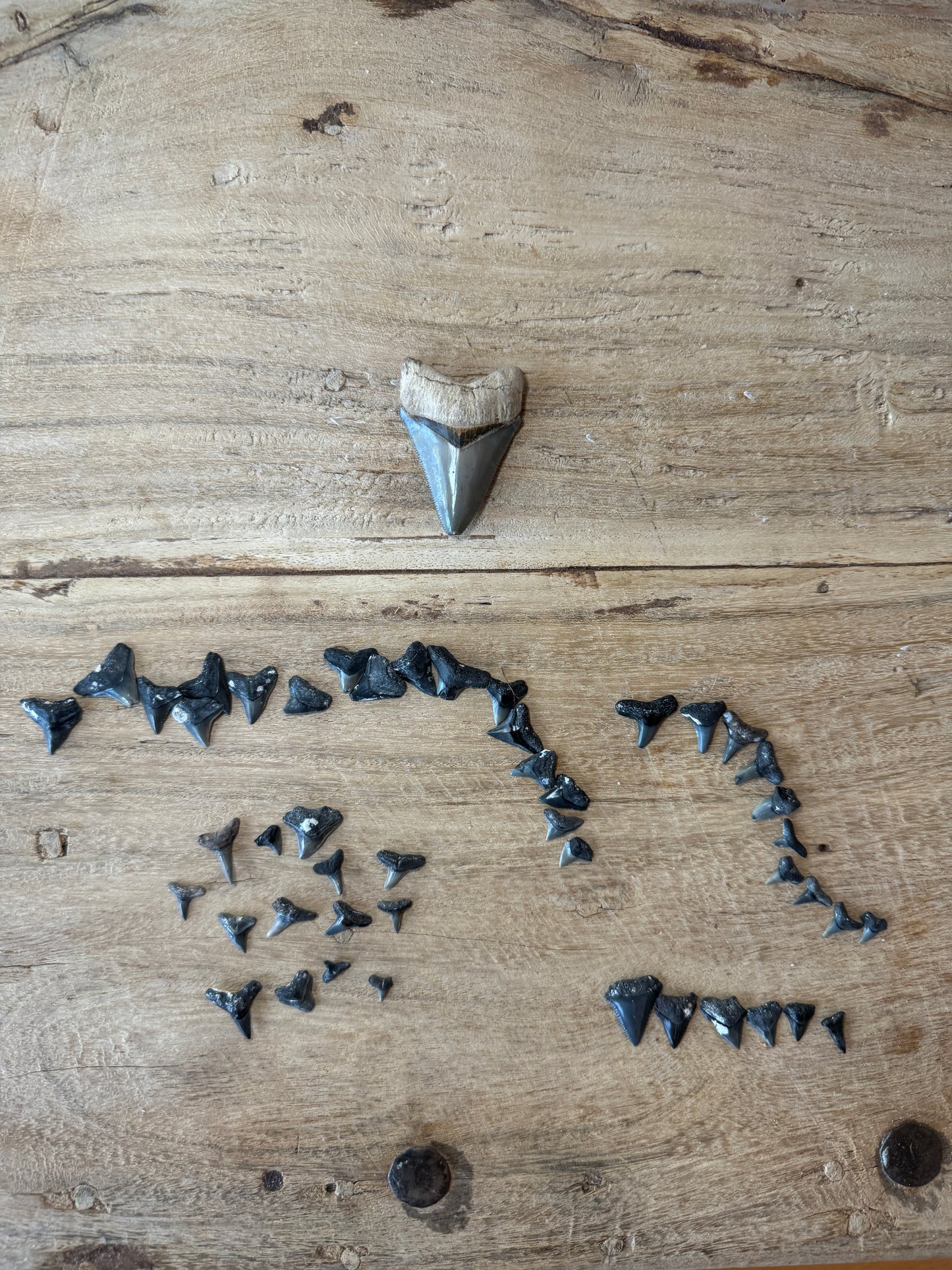 Mini Titans Pendant (9-11mm)
