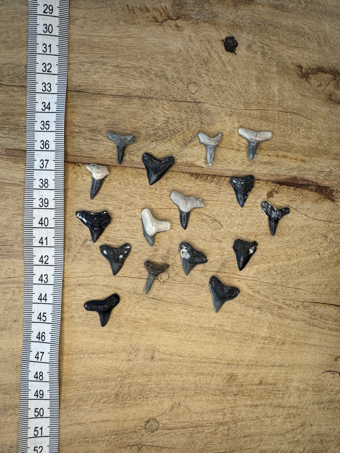 Primal Titans Pendant (17-19mm)