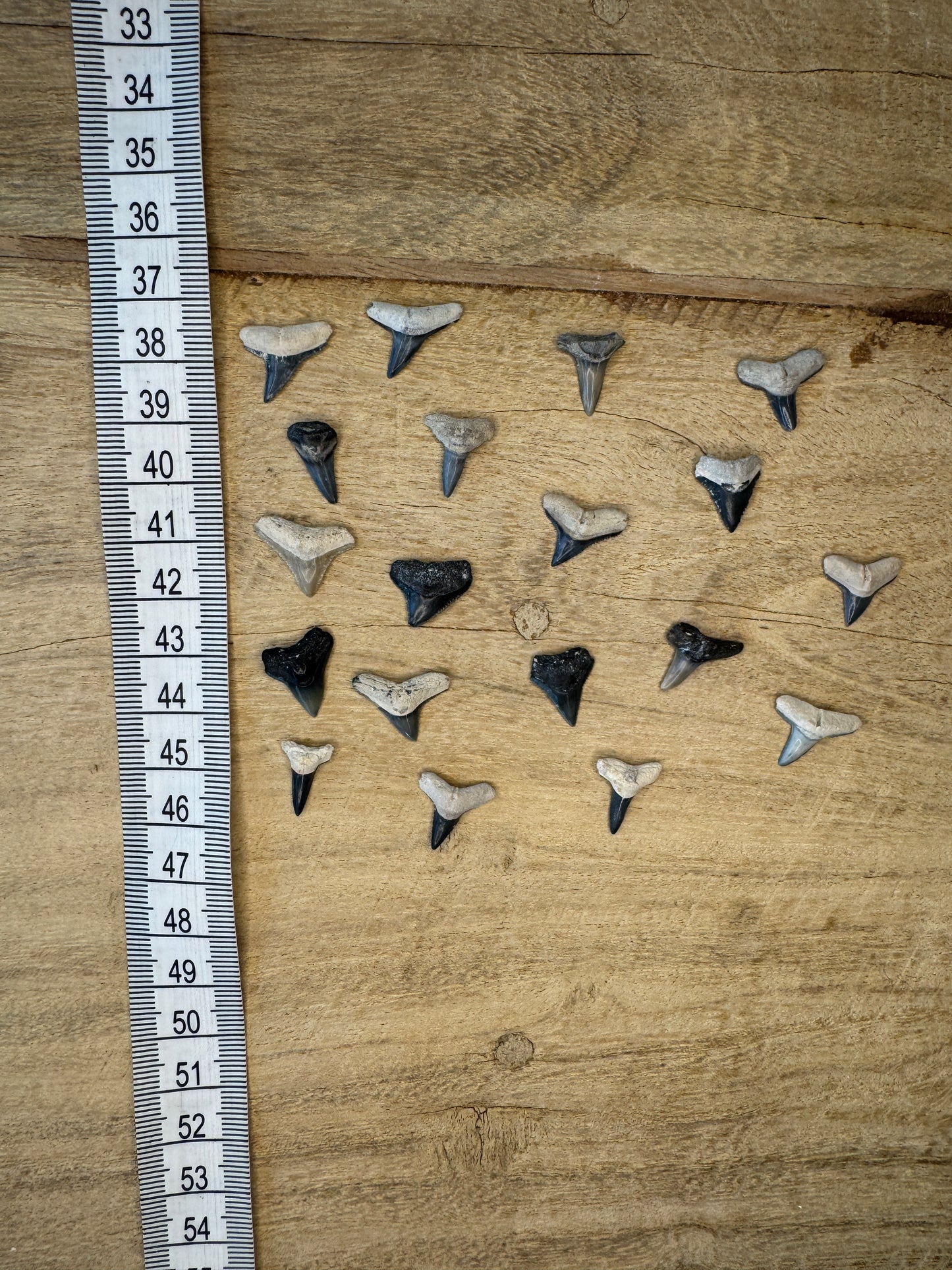 Surf Titans Pendant (13-15mm)